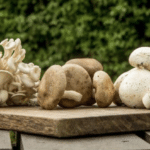 Cogumelo Shitake Orgânico - 200g